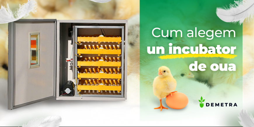 Cum alegem un incubator de oua